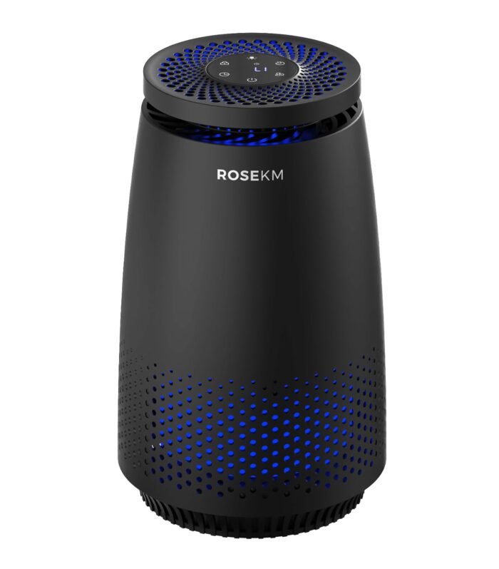 Air Purifiers for Home Bedroom, Air Cleaner with 3-In-1 HEPA Filter for Dust Smoke Pet Dander Odor with Sleep Mode, Aromatherapy, Timer, Portable (Black)